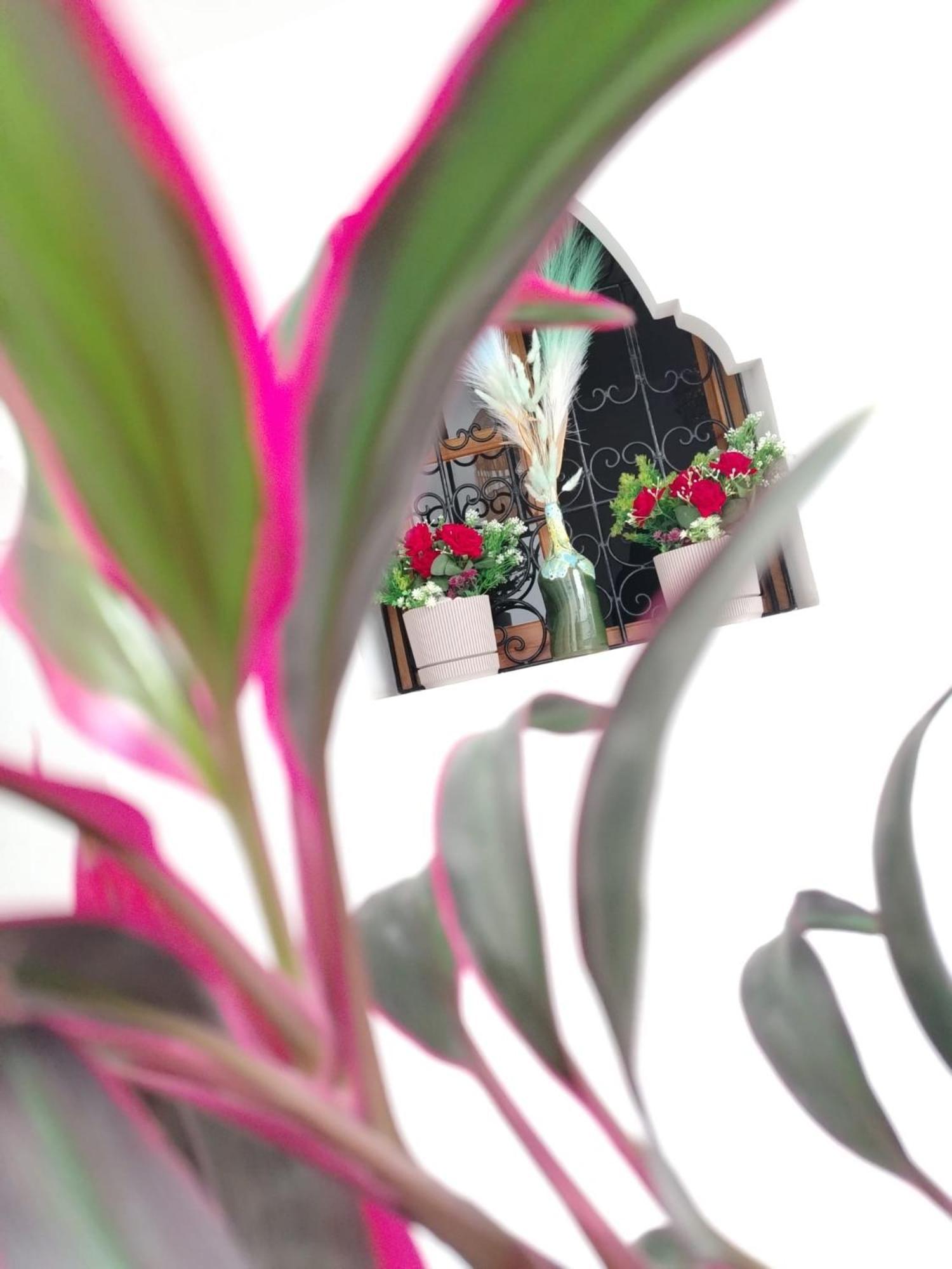 Riad & Spa Sous Le Soleil Chez Jerome & Pamela Suite Essaouira Marrakesh Exterior photo